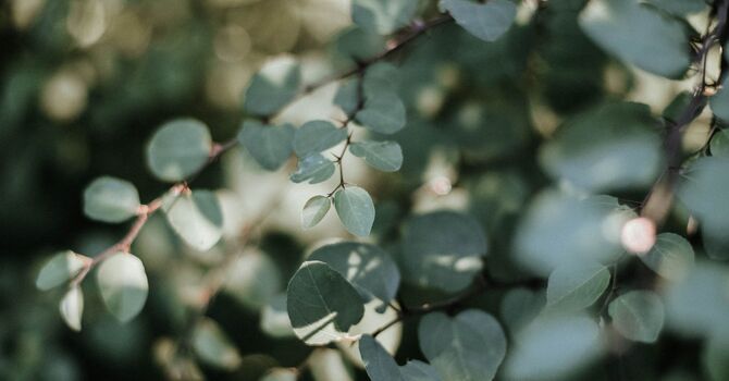 Kinesiology: Understanding Its Role in Health and Fitness image